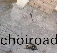 1617182301712090312.jpg 650829d238c6e36896a6cf6c4c6d272.jpg