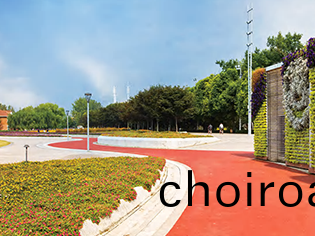 經(jing)濟型瀝(li)青(qing)改(gai)色(se)