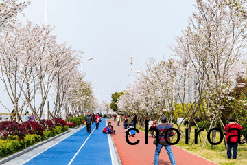 MMA綵(cai)色(se)防(fang)滑路麵(mian)