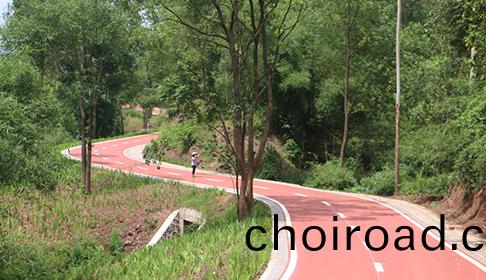 甘肅省雲(yun)屏(ping)綵(cai)色(se)路麵(mian)