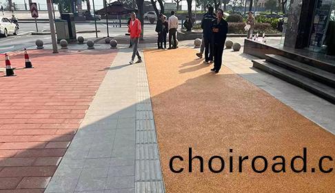 重慶(qing)九(jiu)龍坡綠道(dao)